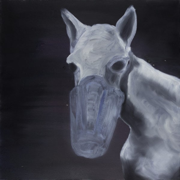 Malerei, Öl auf Leinwand, 40cm x 40cm, Pferdekopf, artist: Franziska King