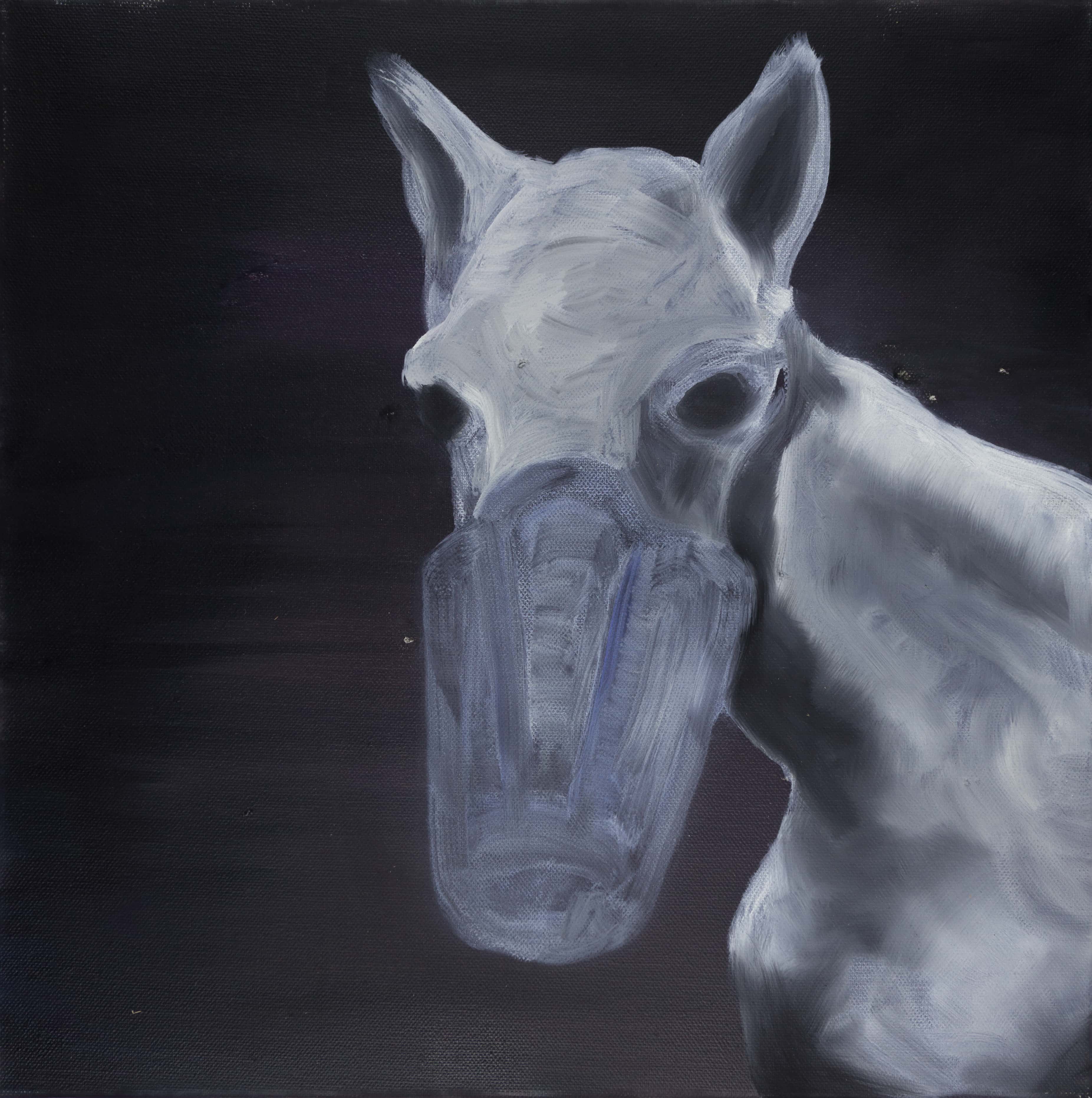 Malerei, Öl auf Leinwand, 40cm x 40cm, Pferdekopf, artist: Franziska King