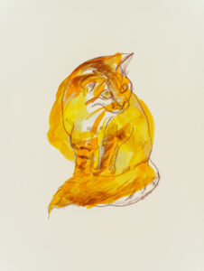 Farbstift und Gouache auf Papier, 24x32cm, Katze, Künstlerin: Franziska King